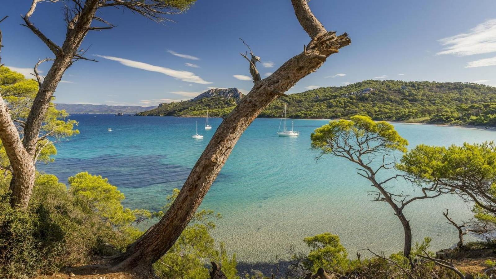 Calme Et Confort En Rez-De-Jardin La Londe-les-Maures Eksteriør bilde